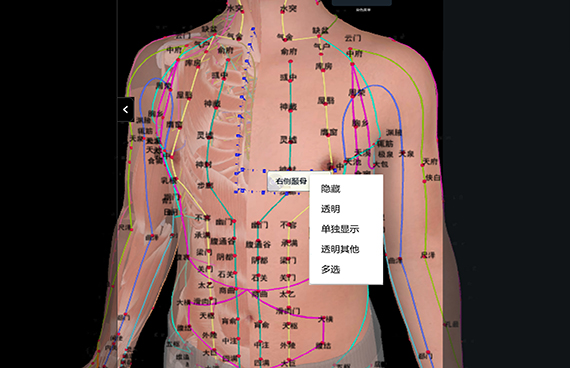 中医经络腧穴仿真教学台